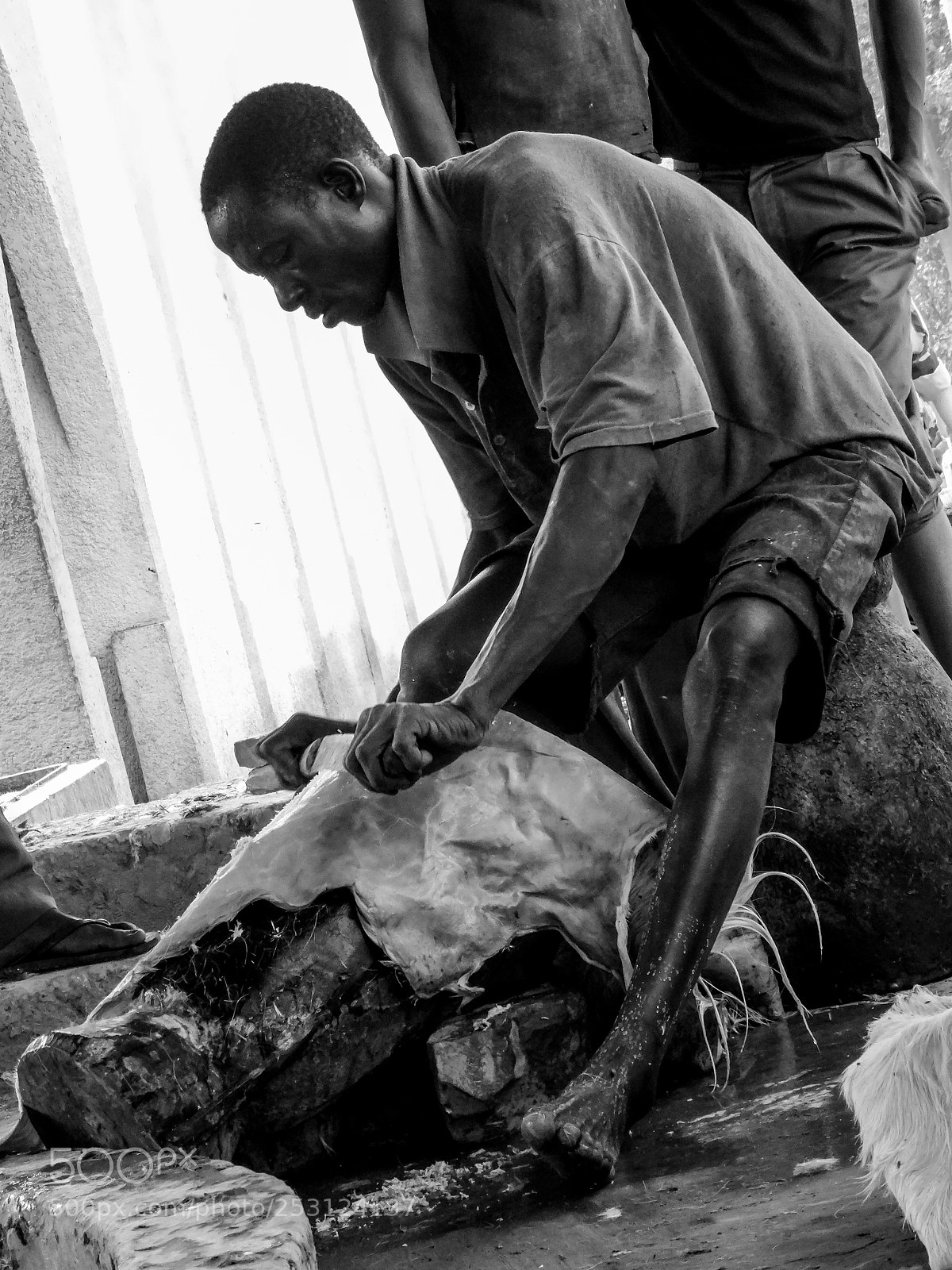 Sony Cyber-shot DSC-HX50V sample photo. Tannery shop photography