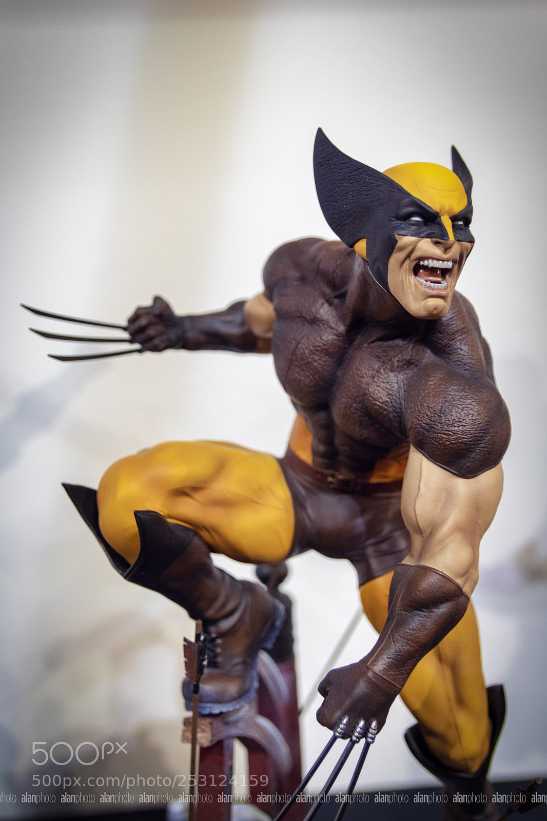Canon EOS 800D (EOS Rebel T7i / EOS Kiss X9i) sample photo. Wolverine photography