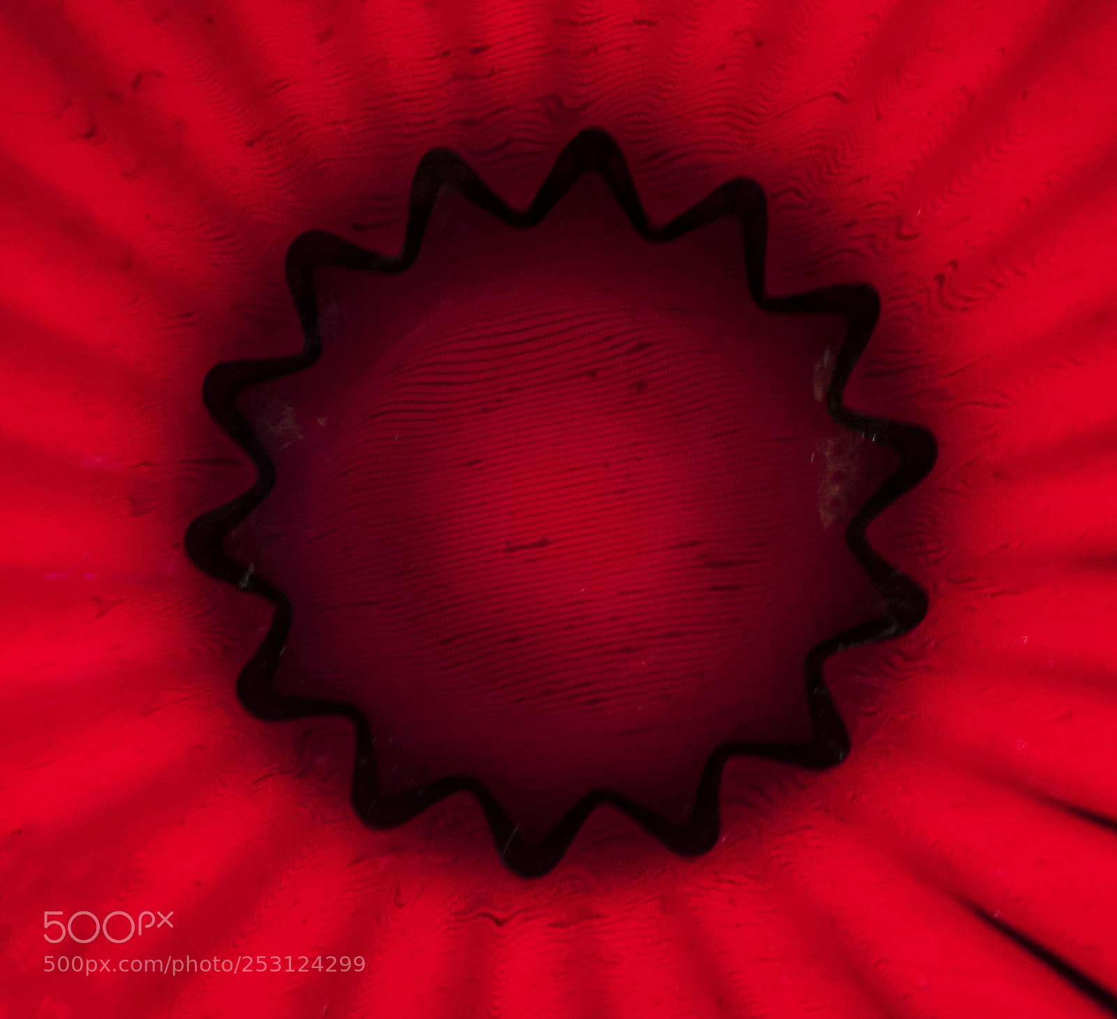 Nikon D7200 sample photo. Red glass bowl photography