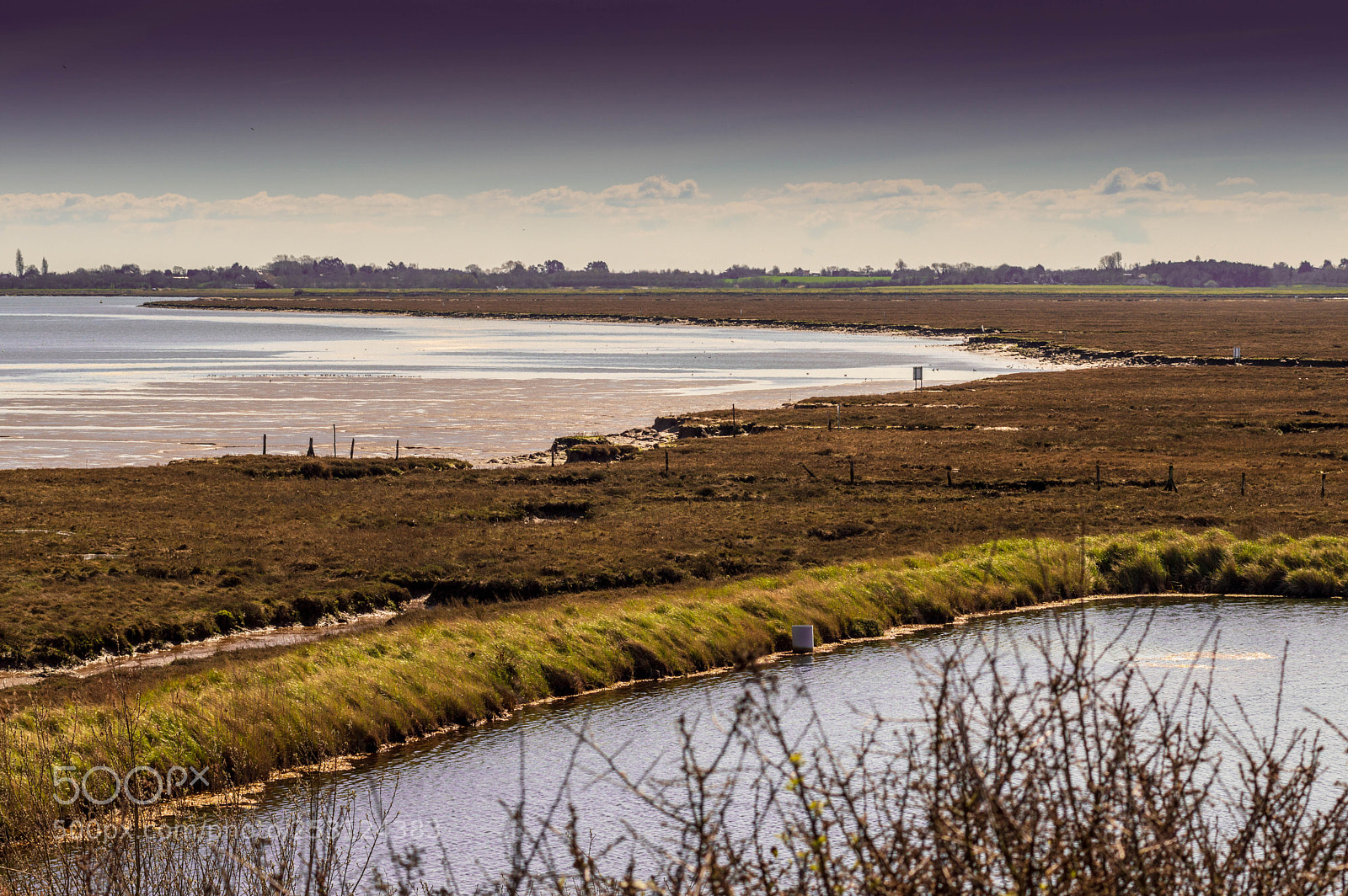 Nikon D3200 sample photo. Colne estuary nature reserve photography