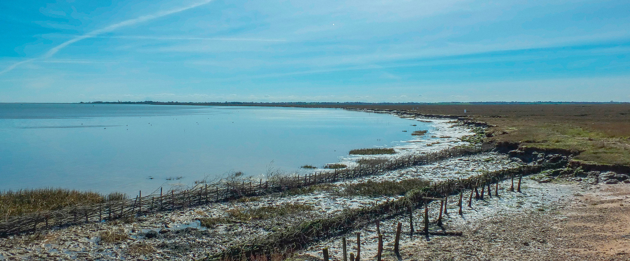 Fujifilm X-S1 sample photo. Colne estuary nature reserve photography