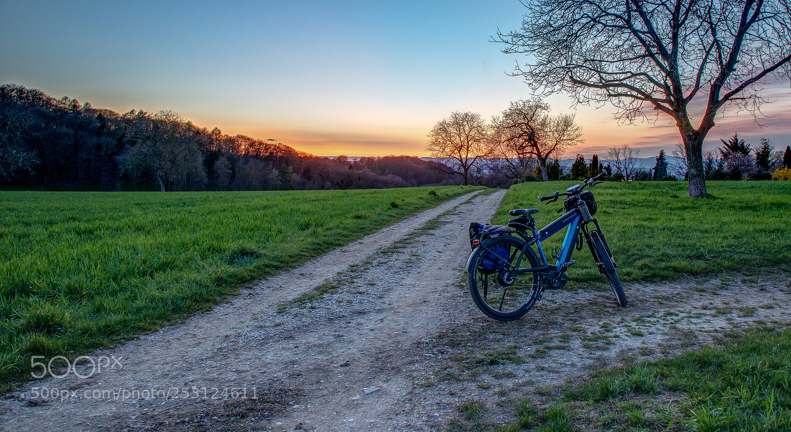 Canon EOS 6D Mark II sample photo. Transport donkey photography