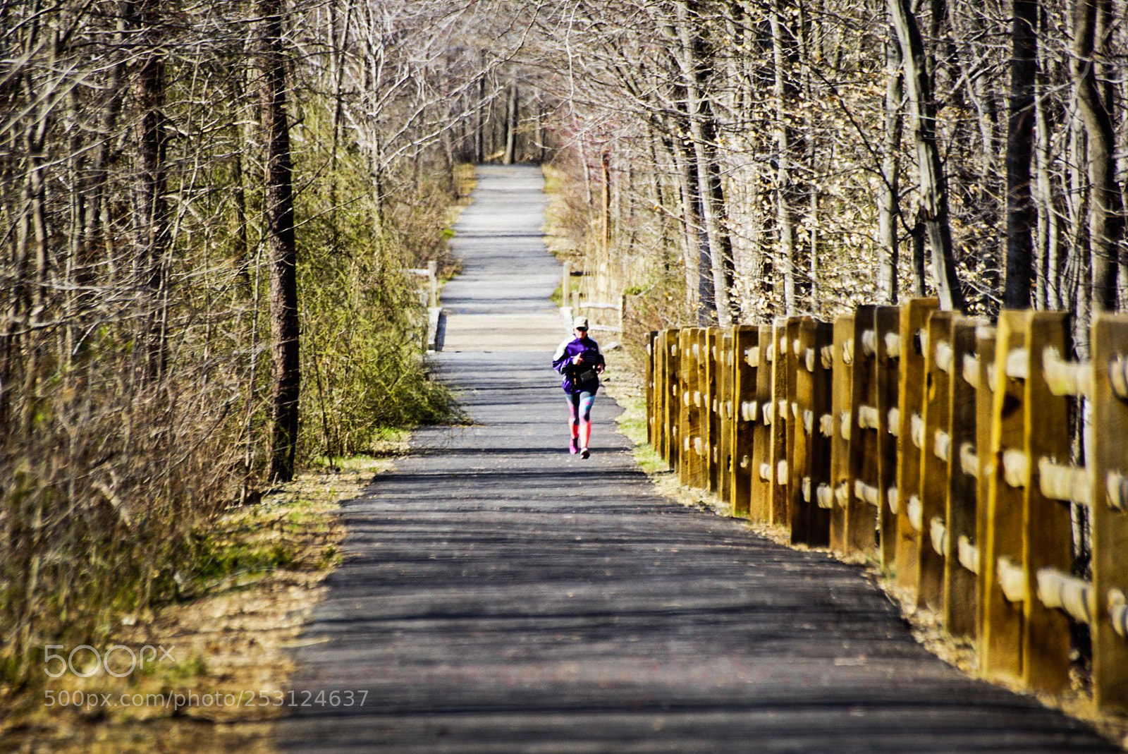 Sony a6000 sample photo. Jogging on photography