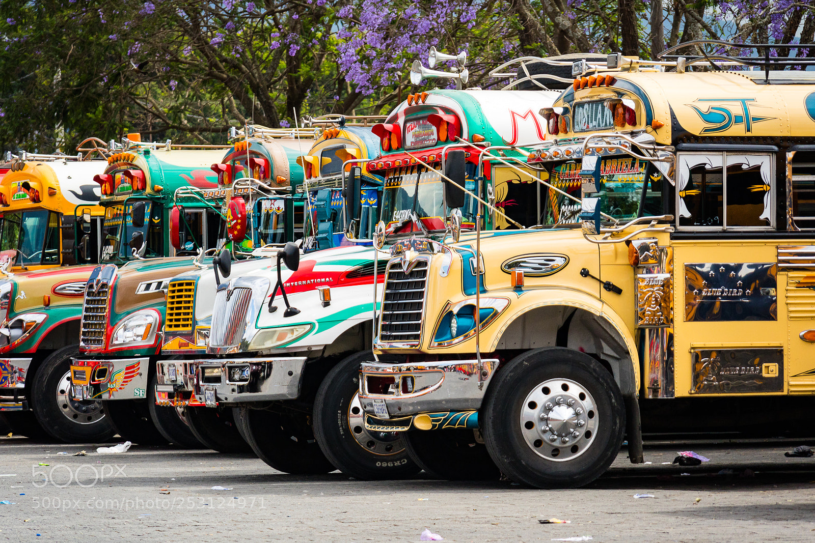 Canon EOS M3 sample photo. Chicken busses photography