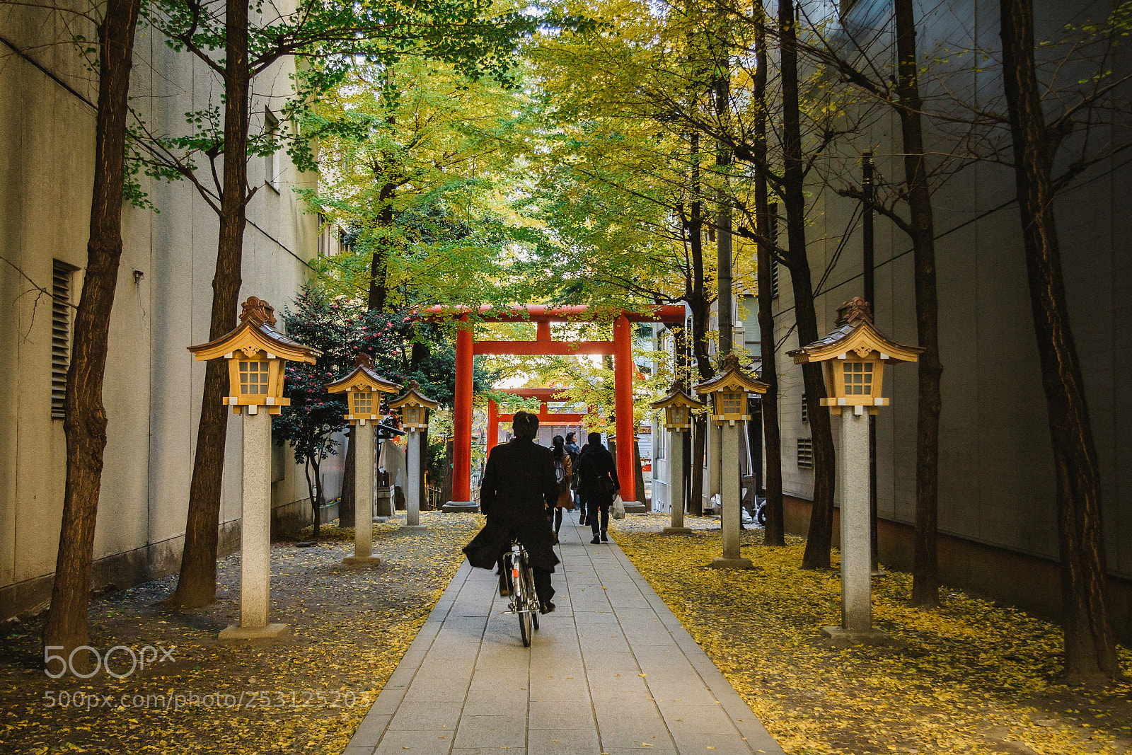 Canon EOS 60D sample photo. Daily commute photography