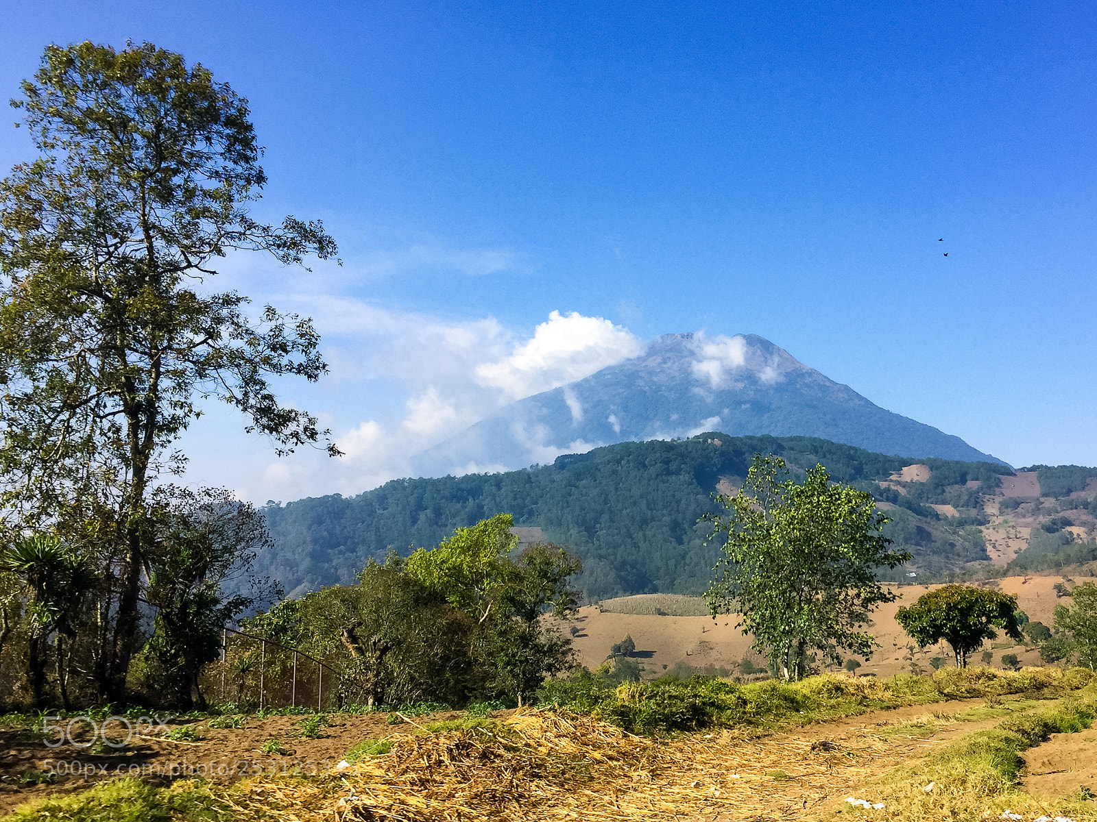 Apple iPhone 6 sample photo. Volcano photography
