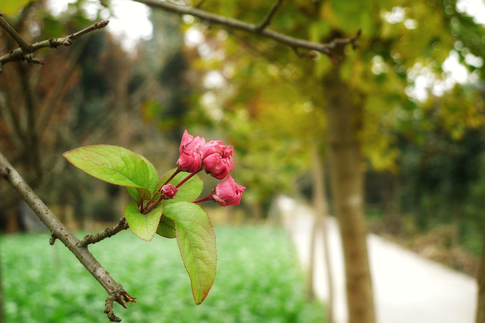 Panasonic Lumix DMC-LX5 sample photo. 无题 photography