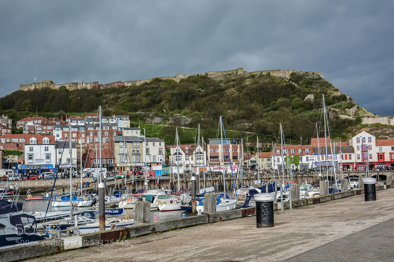 Nikon D7100 sample photo. Scarborough photography