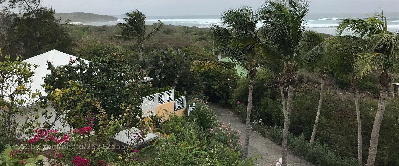 Apple iPhone 7 sample photo. Guadeloupe fwi photography