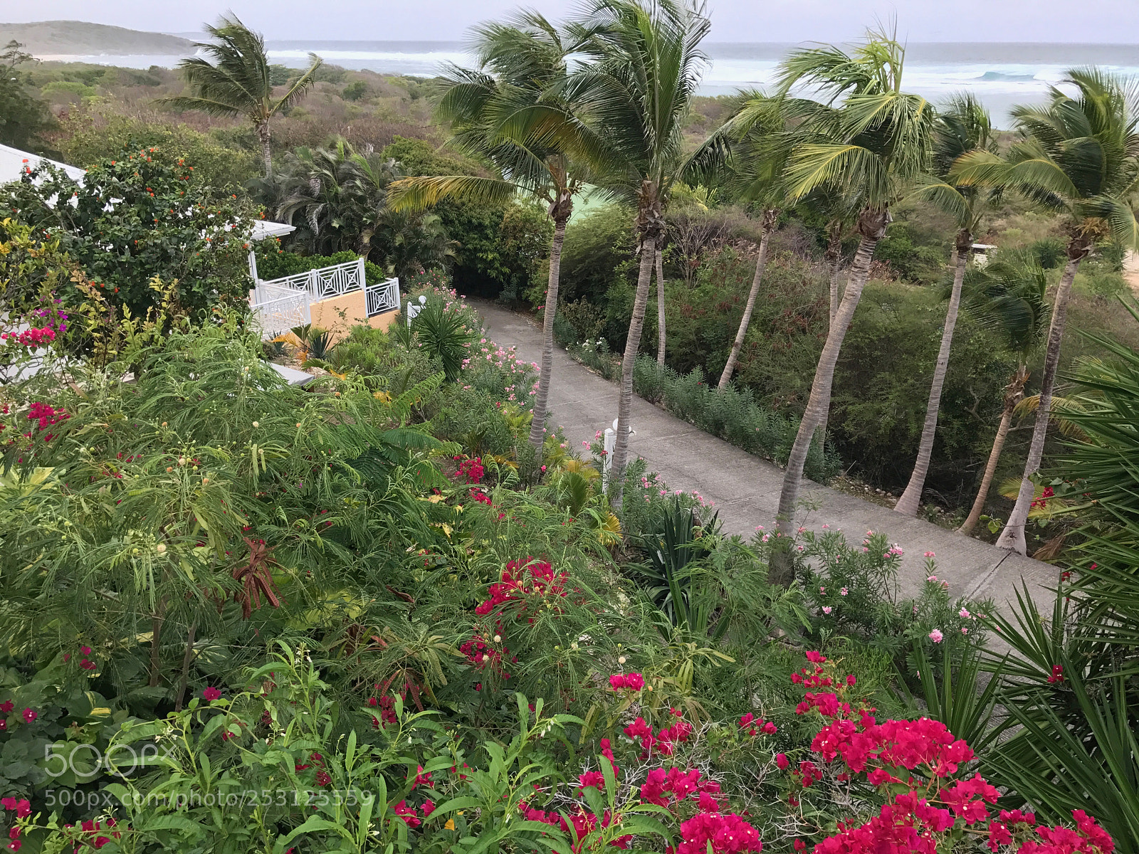 Apple iPhone 7 sample photo. Guadeloupe fwi photography