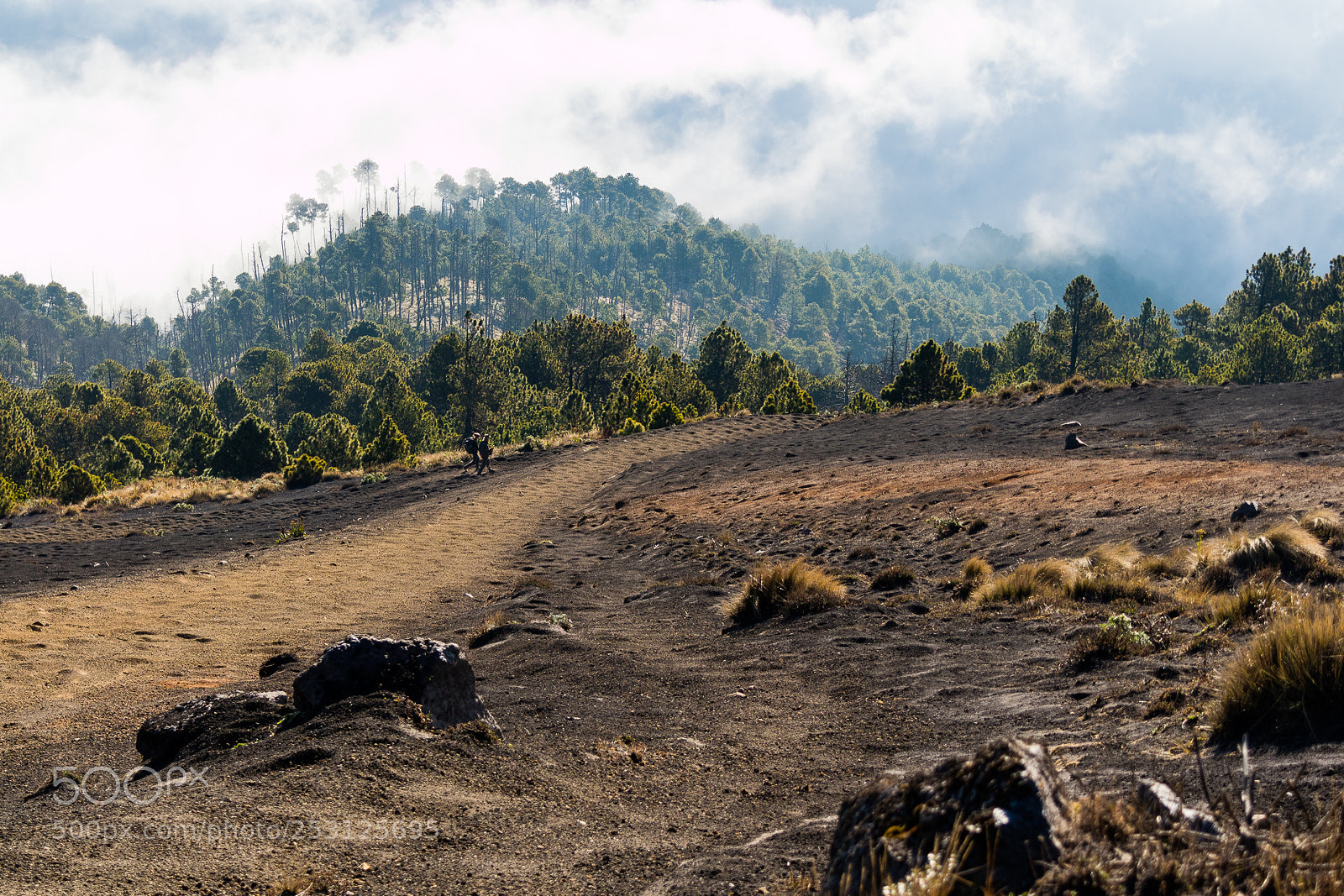 Canon EOS M3 sample photo. Hiking trail photography
