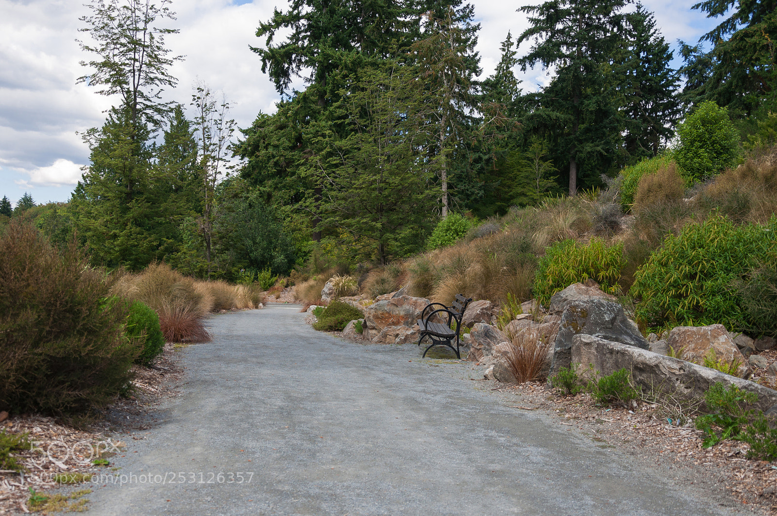 Nikon D90 sample photo. Stepwalk by the bench photography