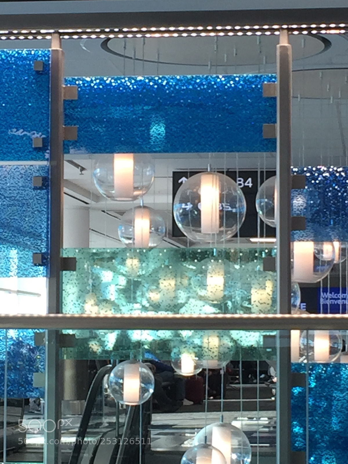 Apple iPhone 6 sample photo. Looked up and there photography