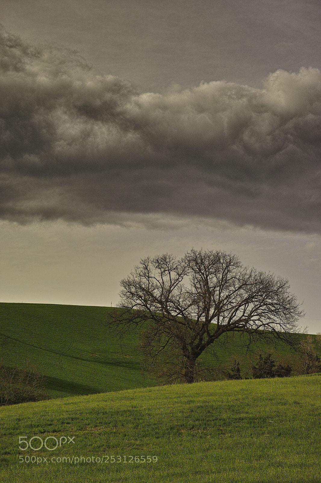 Sigma DP3 Merrill sample photo. Heavy cloud photography