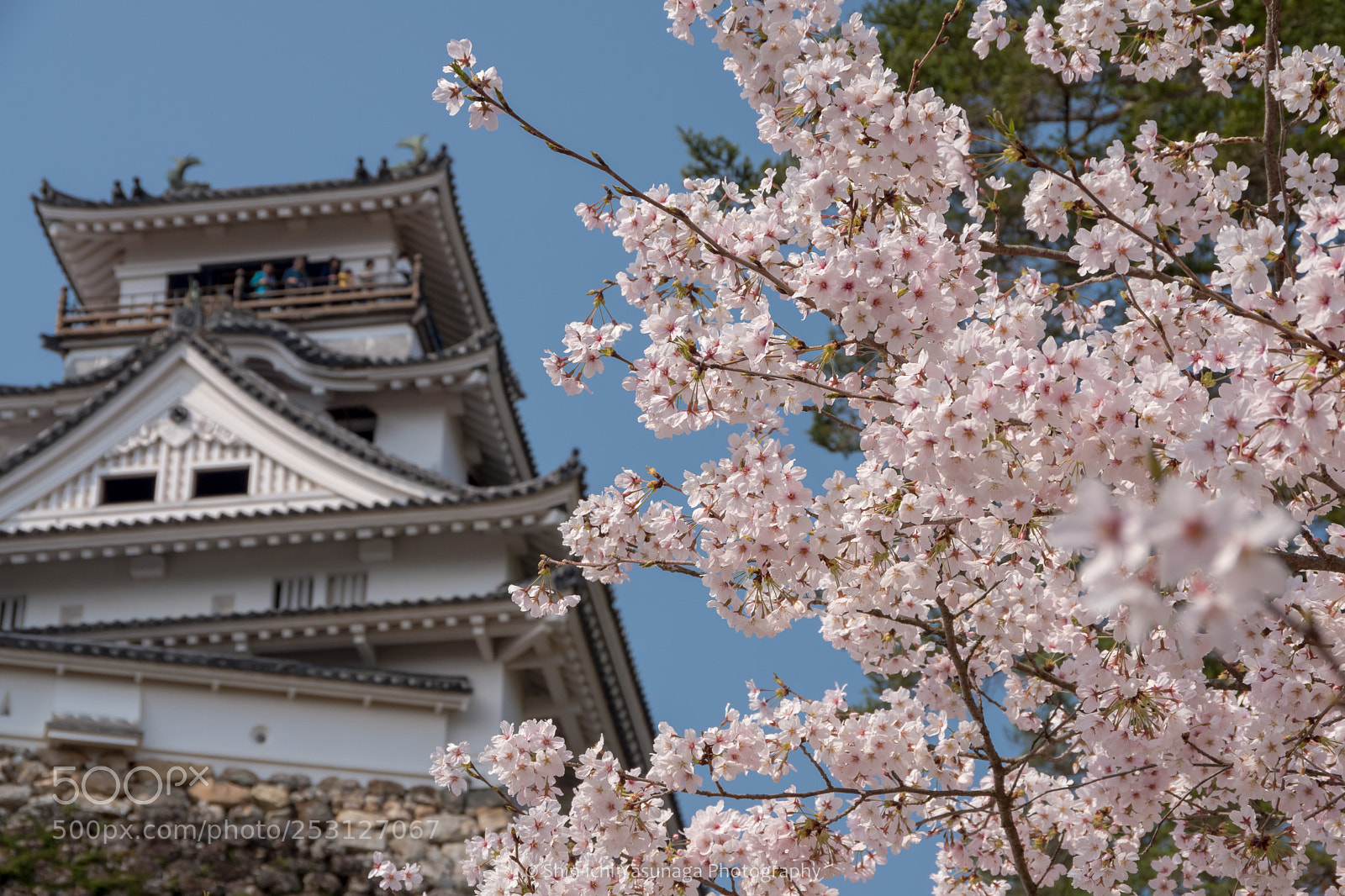 Pentax K-70 sample photo. Spring of castle photography