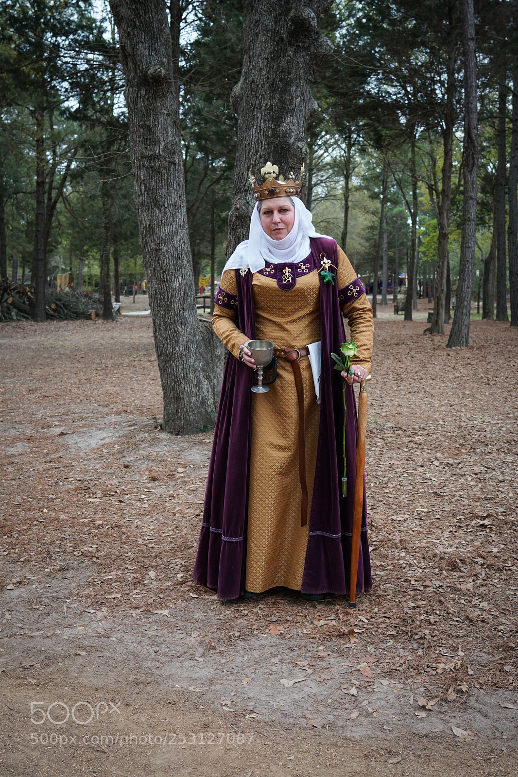 Sony a6500 sample photo. Sherwood forest faire photography