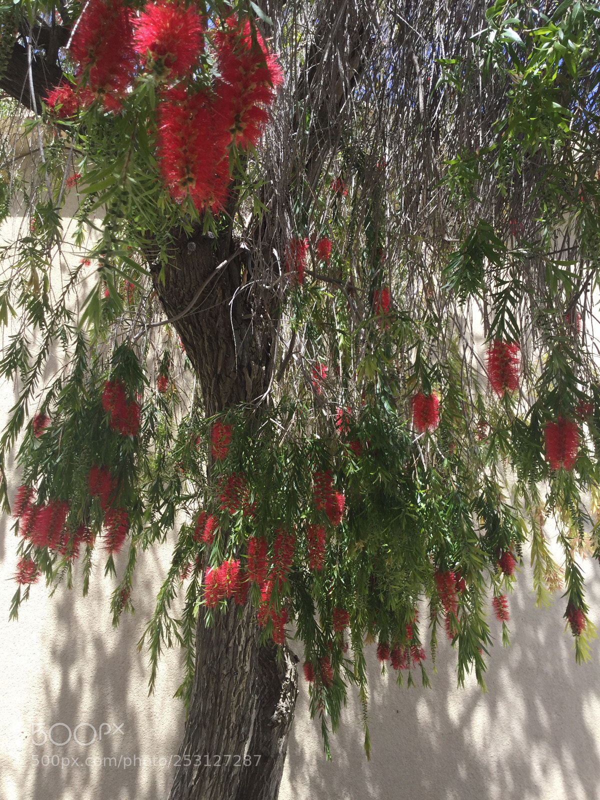 Apple iPod touch sample photo. Beauty  photography