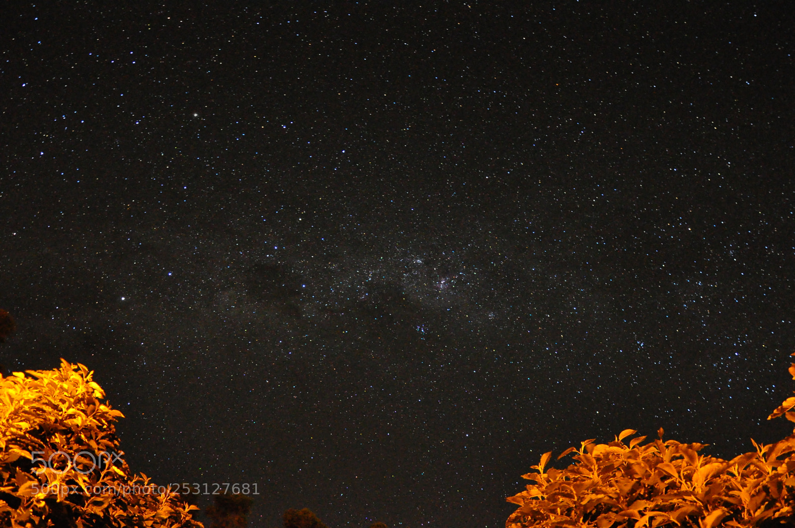 Nikon D90 sample photo. Bueno brand o photography