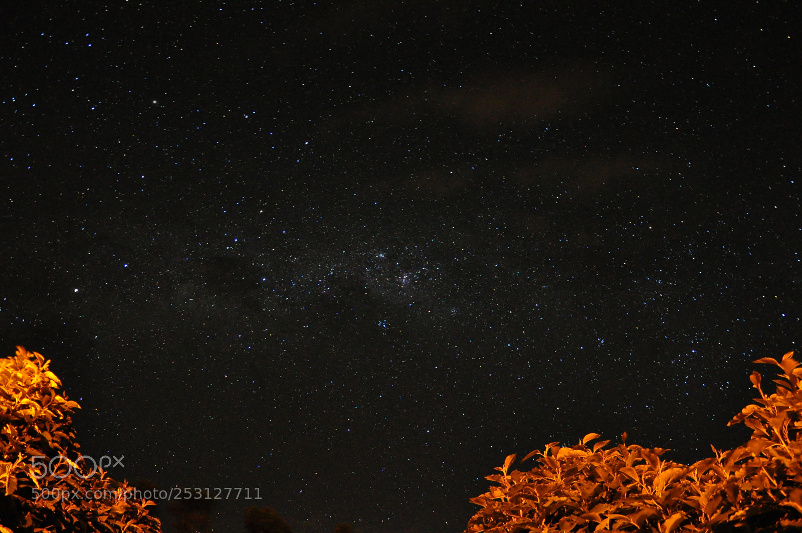 Nikon D90 sample photo. Bueno brand o photography