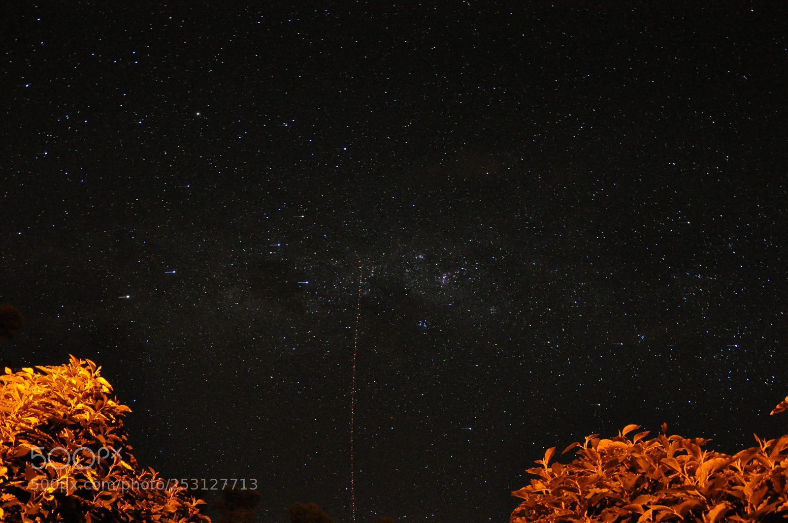 Nikon D90 sample photo. Bueno brand o photography