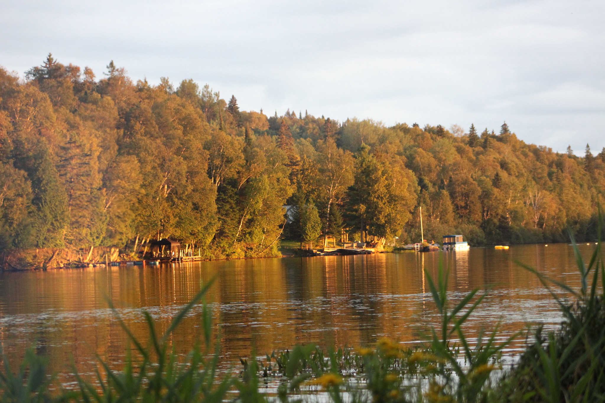 Canon EF 75-300mm f/4-5.6 USM sample photo. Img photography