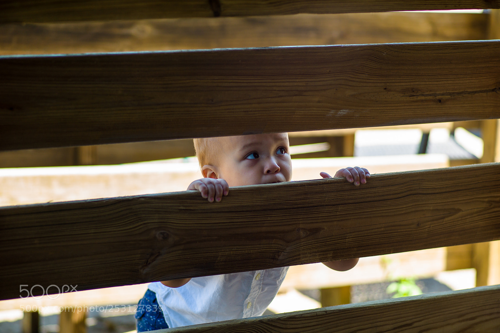 Leica M9 sample photo. But i don't want photography