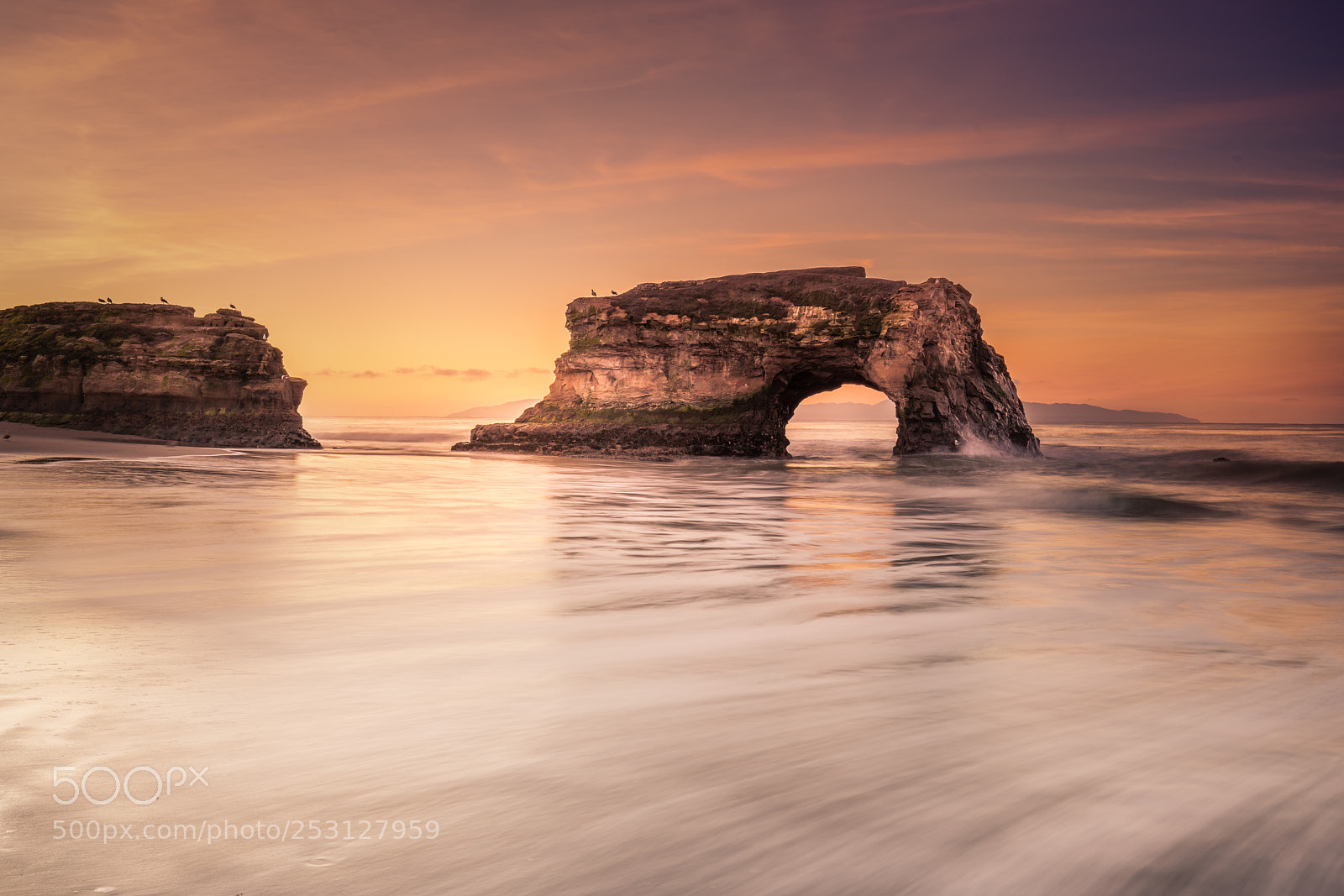 Sony a7R III sample photo. Natural bridge, santa cruz photography