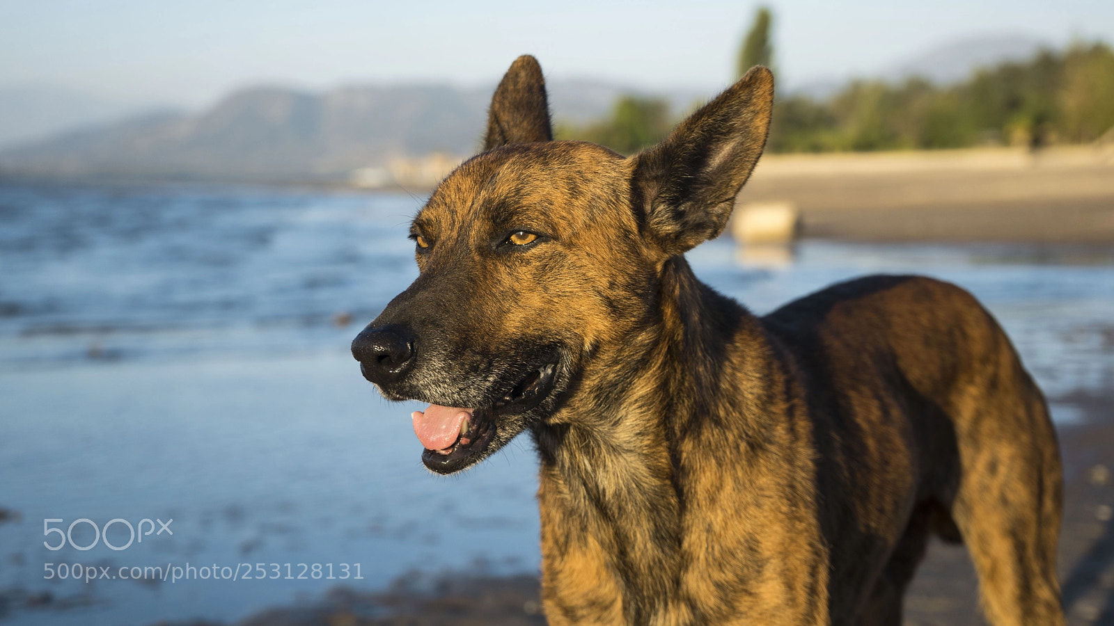 Sony a7 sample photo. Faithful photography