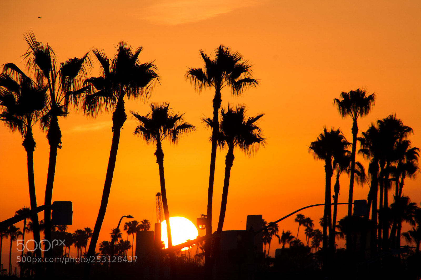 Canon EOS 70D sample photo. Tropical sun photography