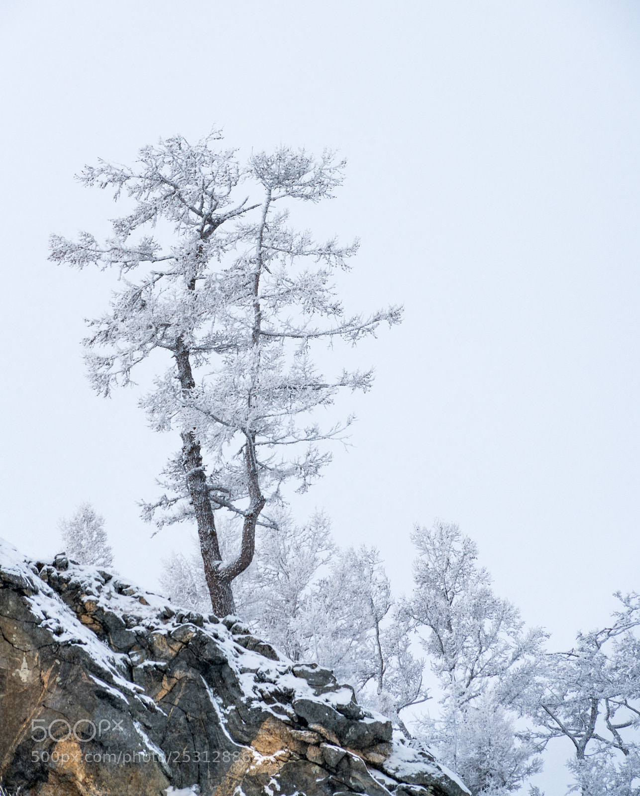 Sony a7R II sample photo. Snow yuki ii lake photography