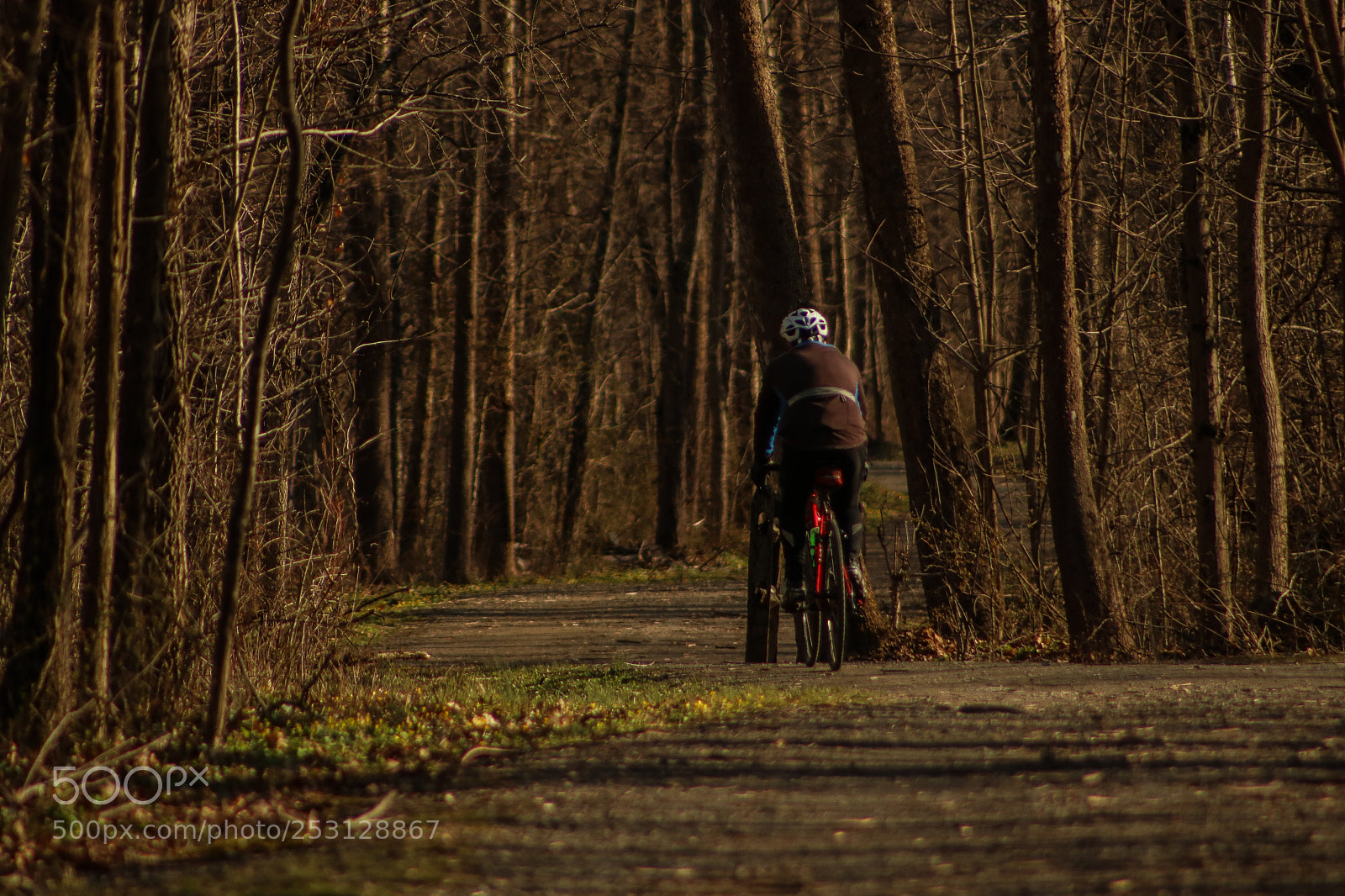 Canon EOS 750D (EOS Rebel T6i / EOS Kiss X8i) sample photo. Cyclist photography