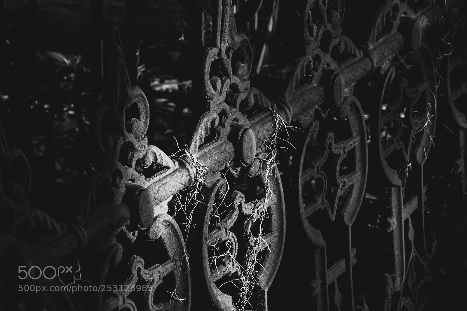 Nikon D5500 sample photo. Iron,brick and wood of photography