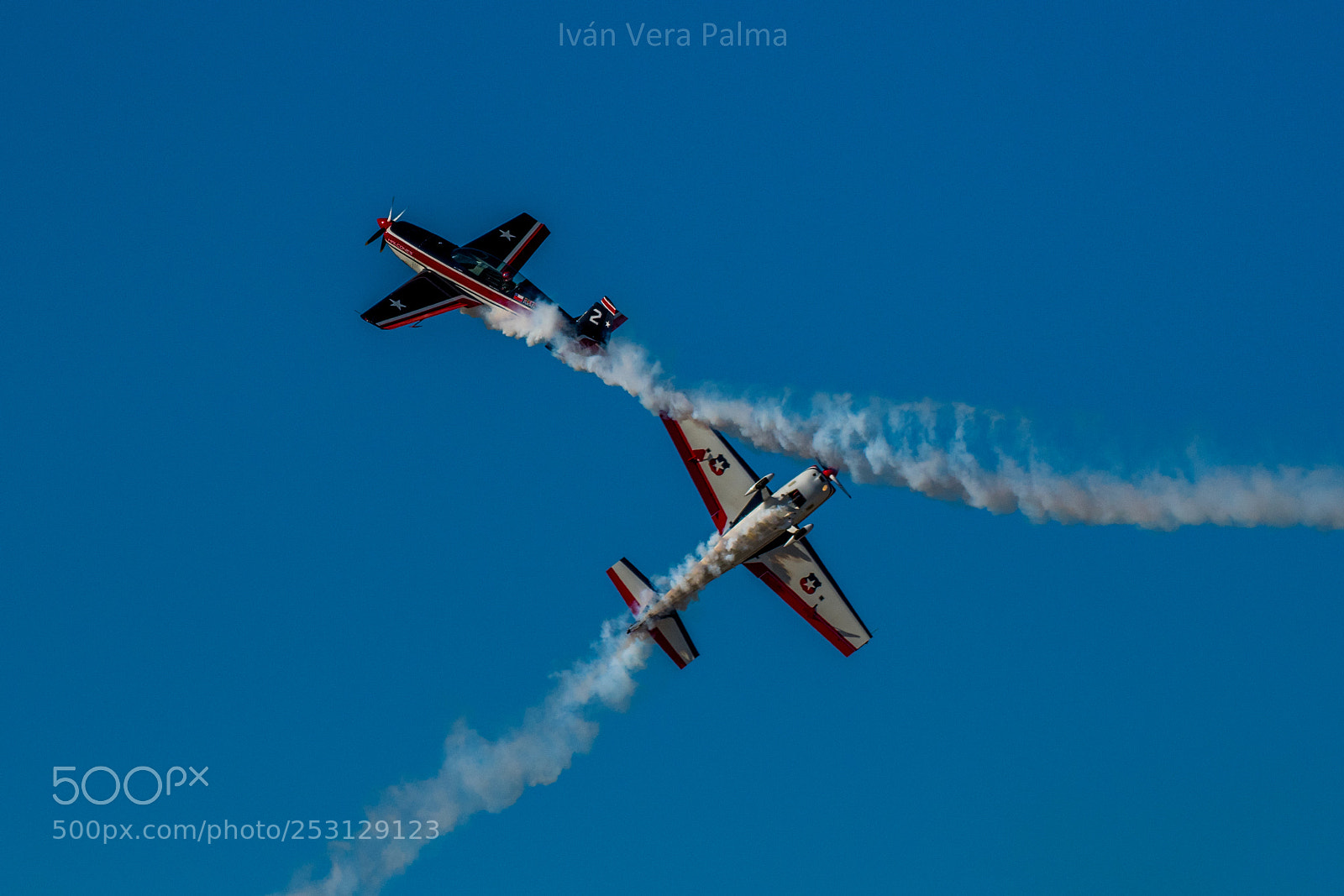 Nikon D500 sample photo. Halcones de la fach photography