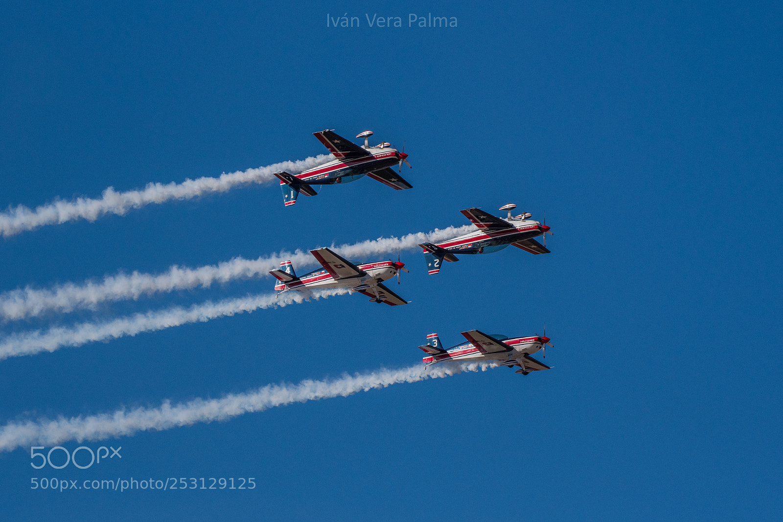 Nikon D500 sample photo. Halcones de la fach photography