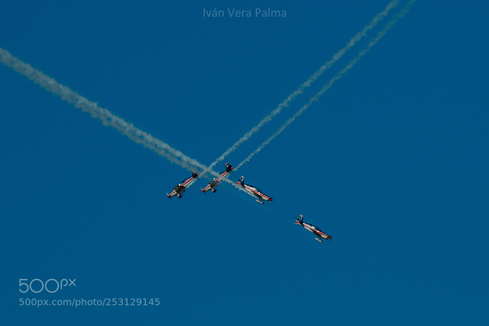 Nikon D500 sample photo. Halcones de la fach photography