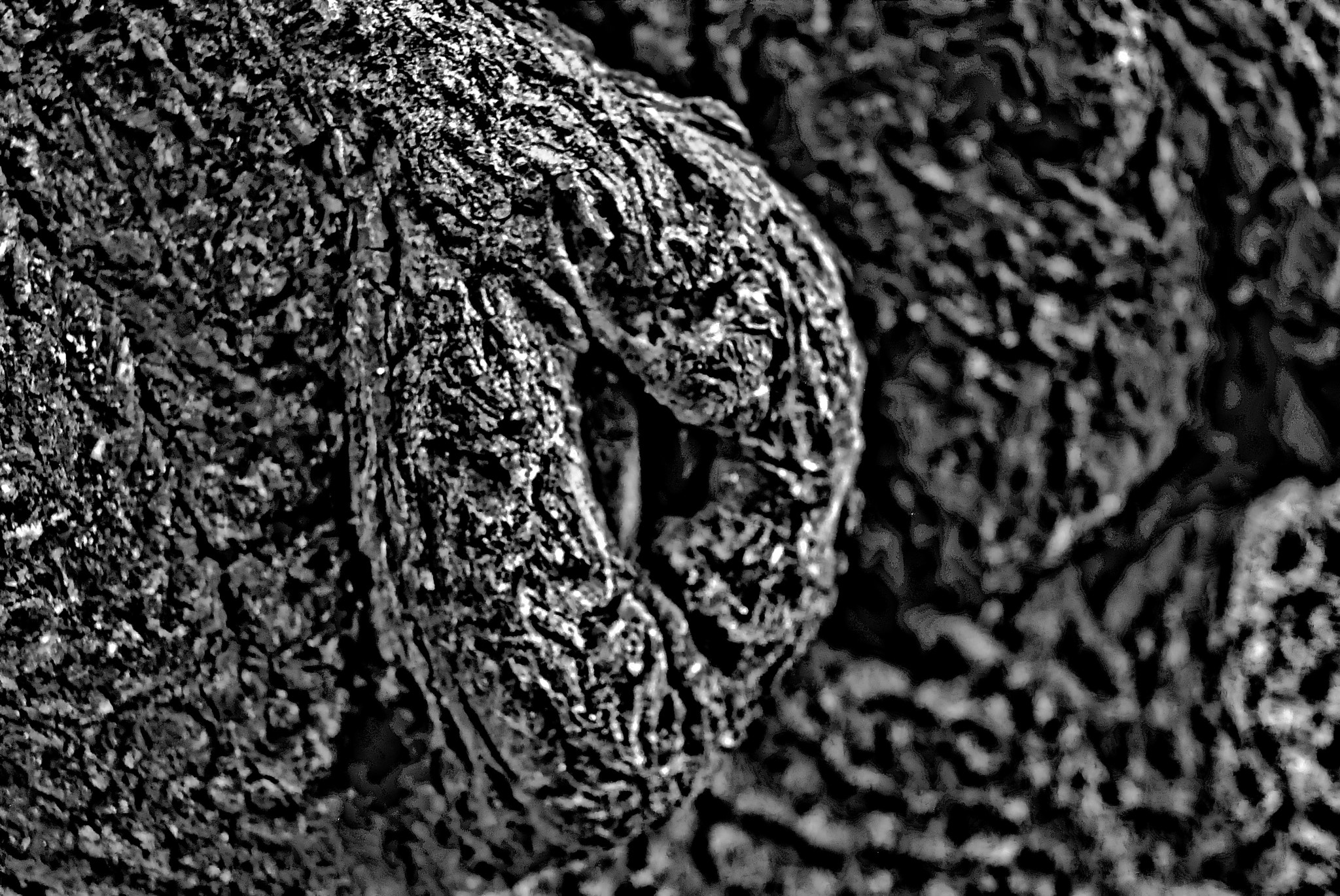 Nikon D200 sample photo. Untitled photography