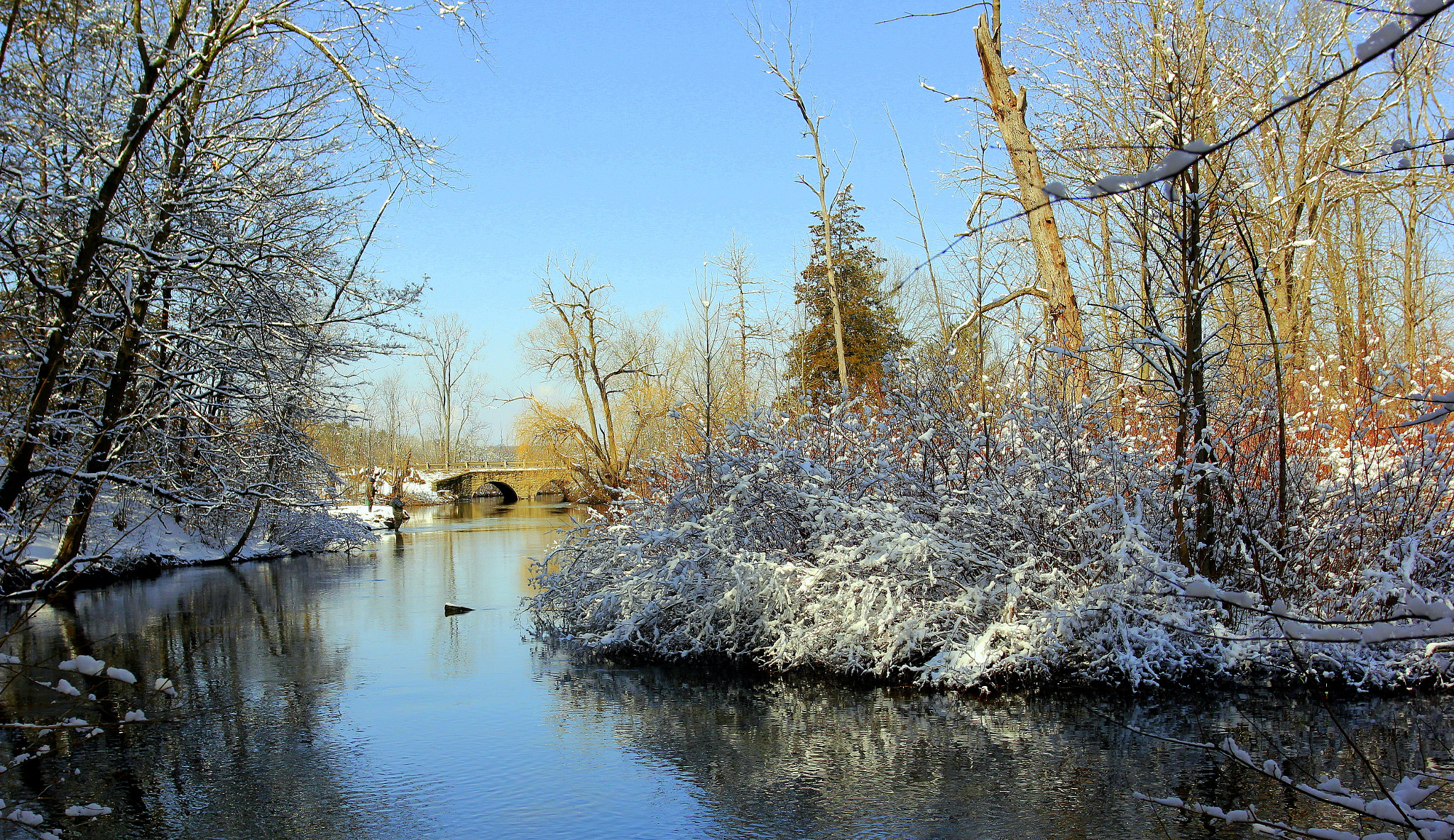 Canon EOS 550D (EOS Rebel T2i / EOS Kiss X4) + Canon EF 17-40mm F4L USM sample photo. Winter's last hurrah! photography