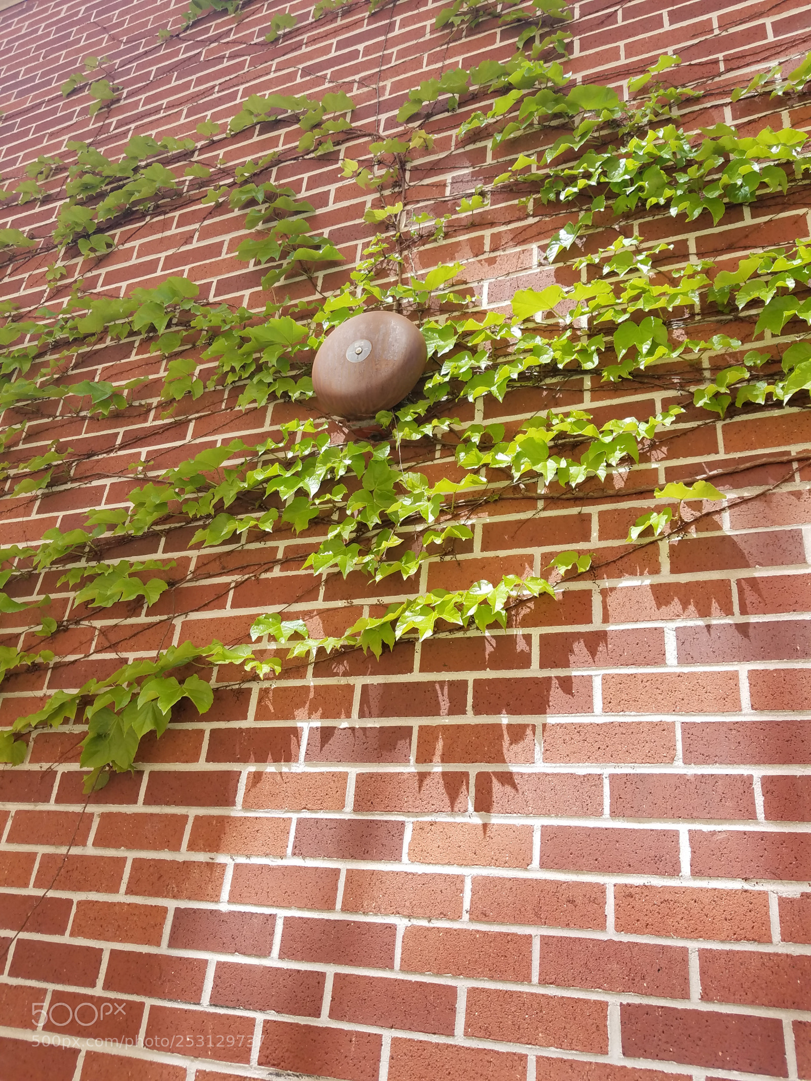 Samsung Galaxy S7 sample photo. Rung photography