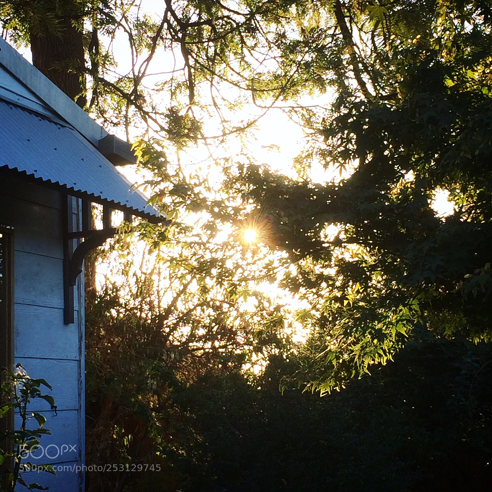 Apple iPhone 5s sample photo. Secret garden photography