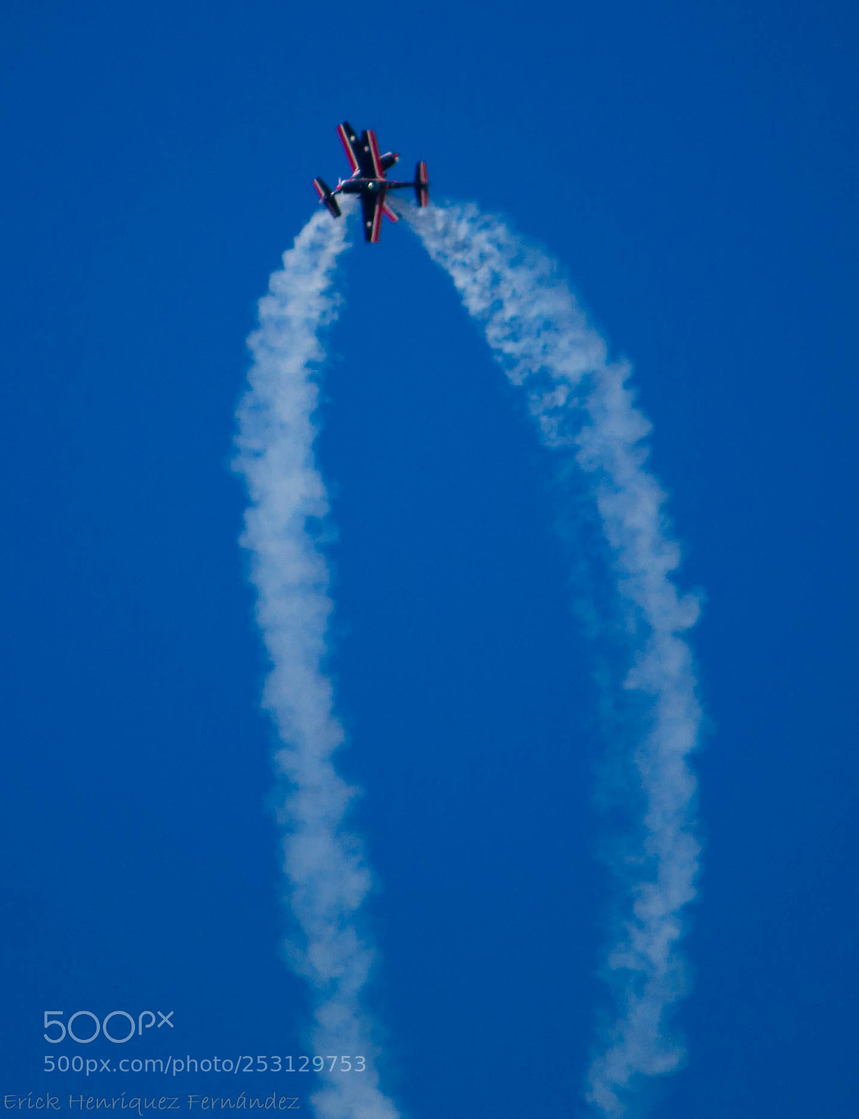 Canon EOS 1100D (EOS Rebel T3 / EOS Kiss X50) sample photo. Halcones fidae 2 photography