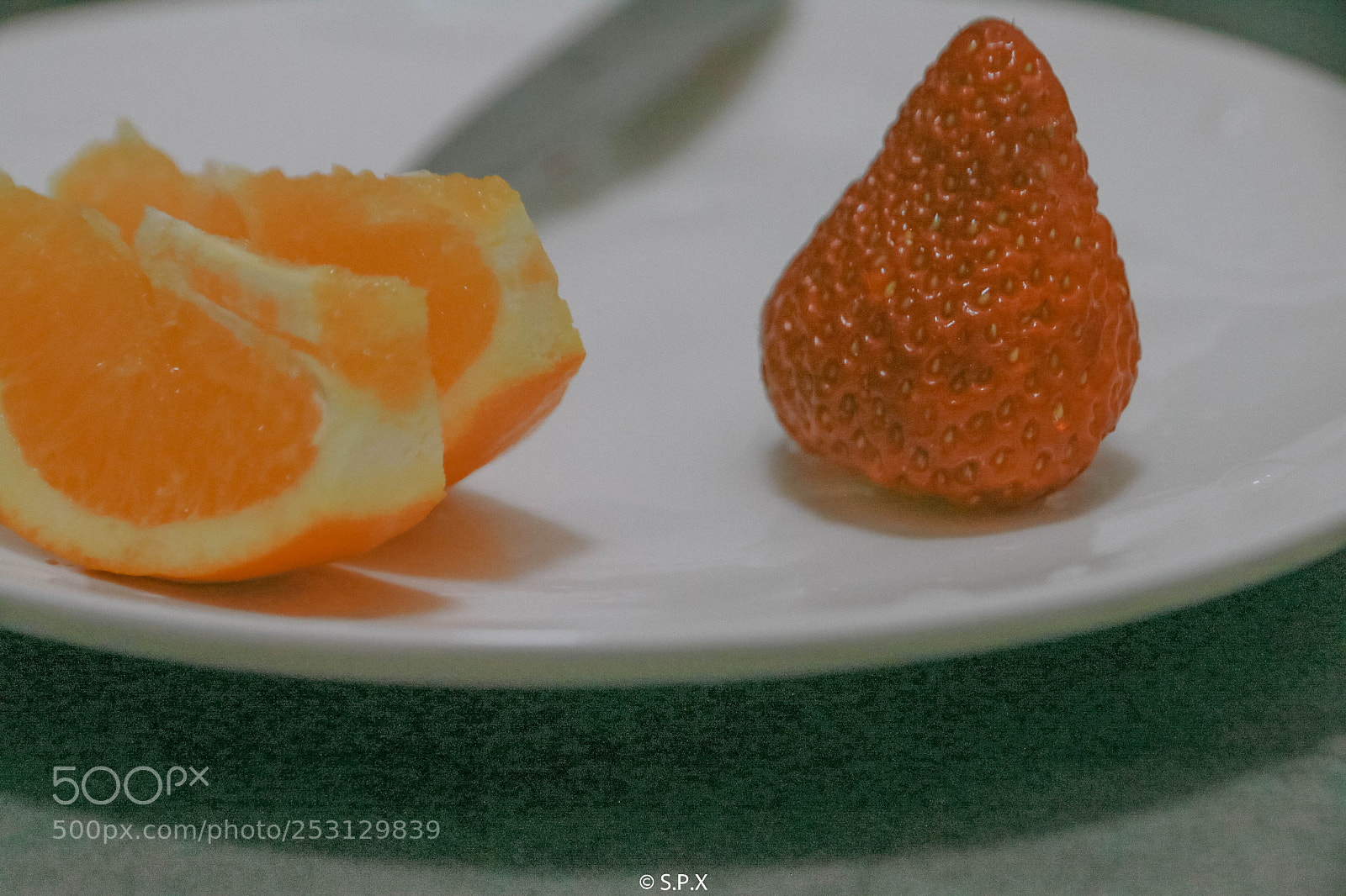 Canon EOS 70D sample photo. － photography