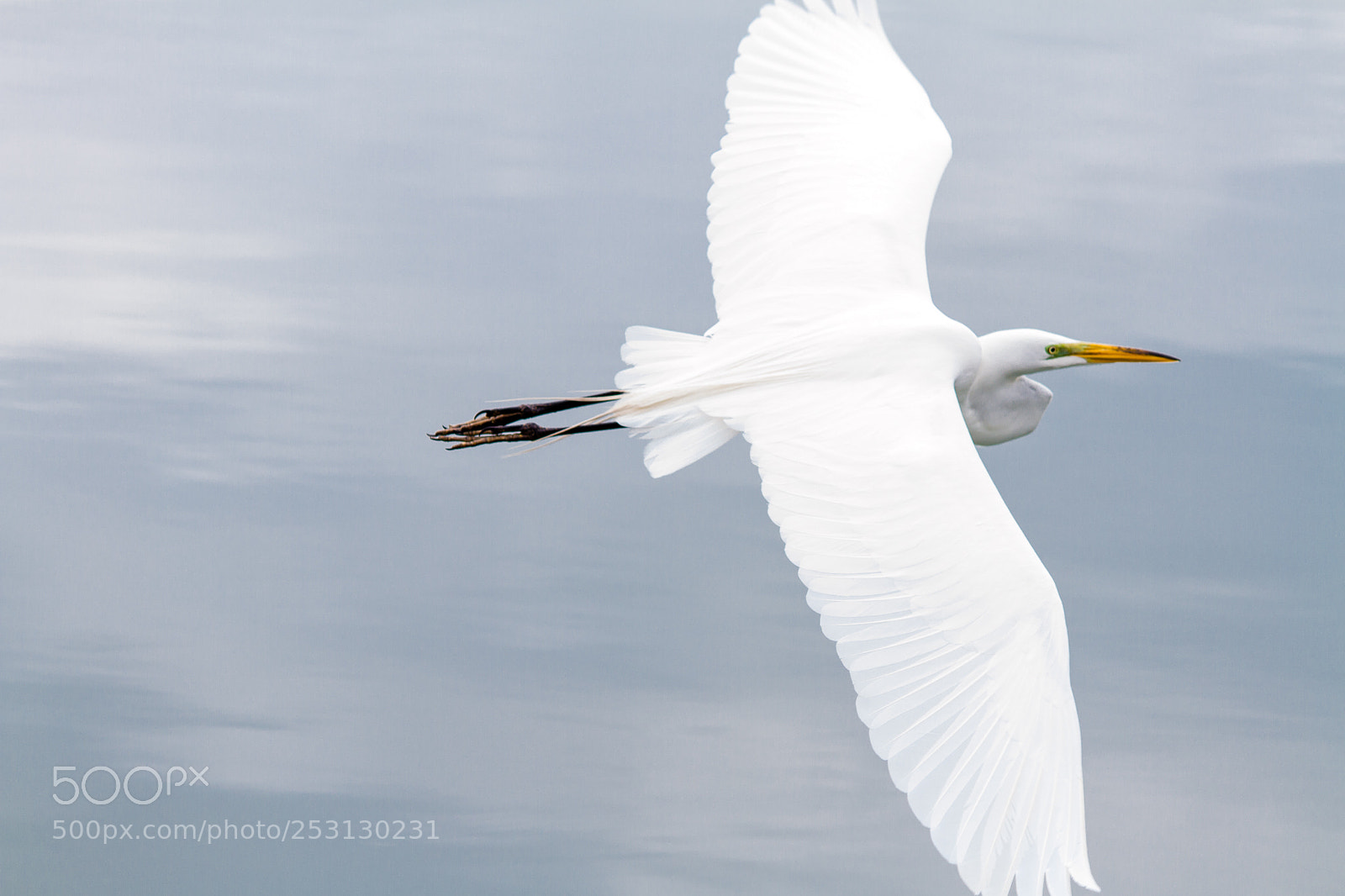Canon EOS 7D sample photo. Flight photography