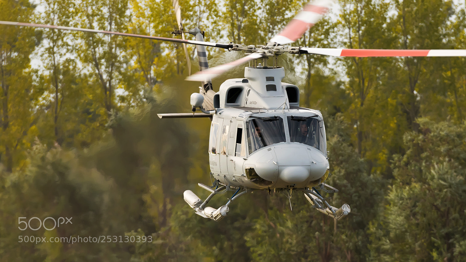 Nikon D810 sample photo. Rescue photography