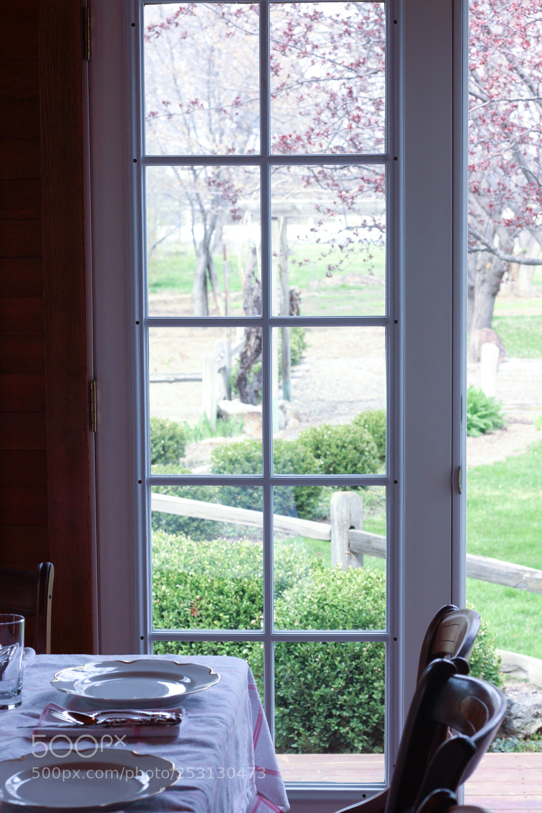Canon EOS 700D (EOS Rebel T5i / EOS Kiss X7i) sample photo. Edit photography