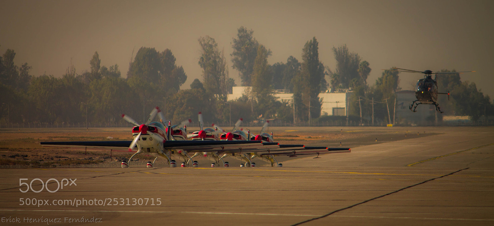 Canon EOS 1100D (EOS Rebel T3 / EOS Kiss X50) sample photo. Halcones fidae 5 photography