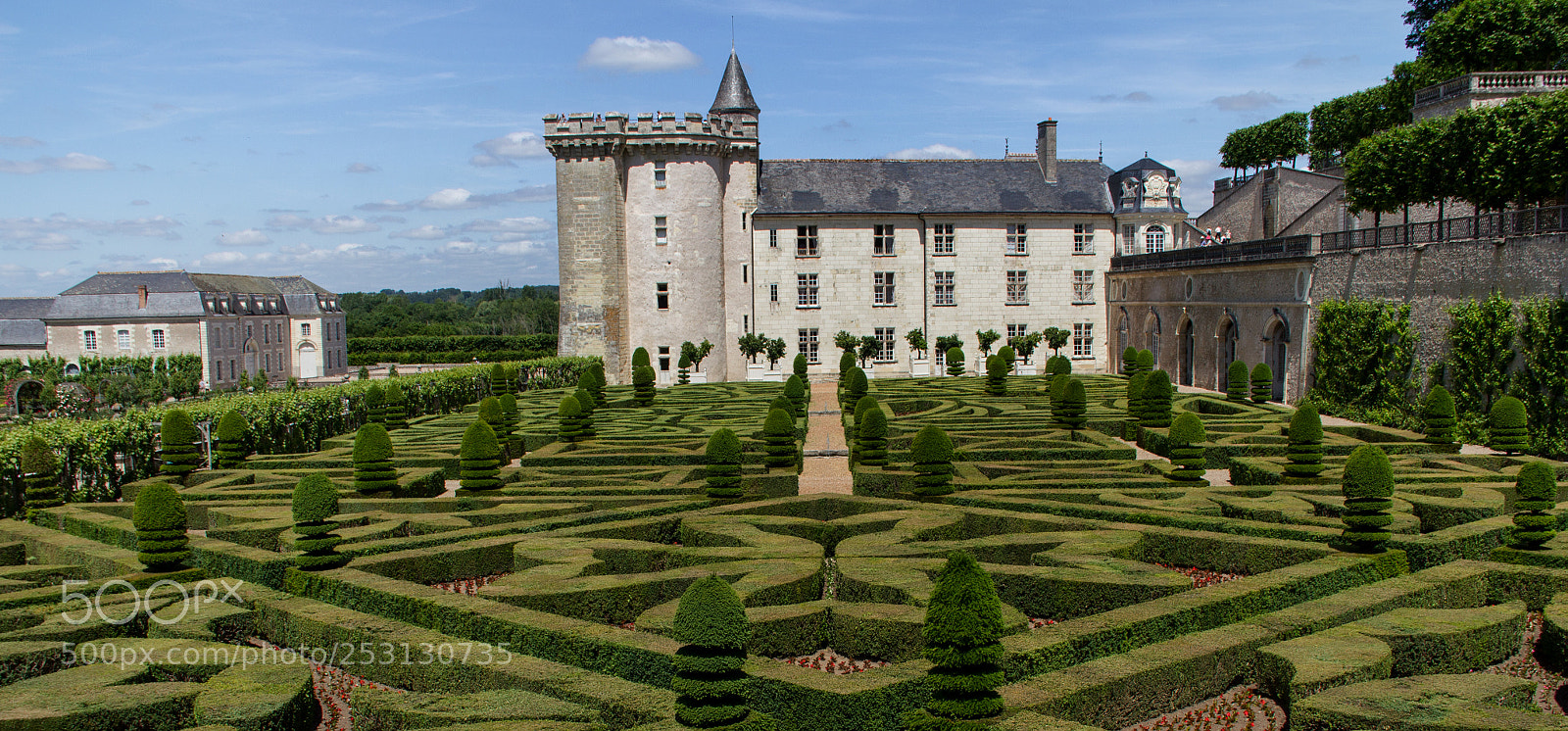 Canon EOS 550D (EOS Rebel T2i / EOS Kiss X4) sample photo. The love garden, chateau photography
