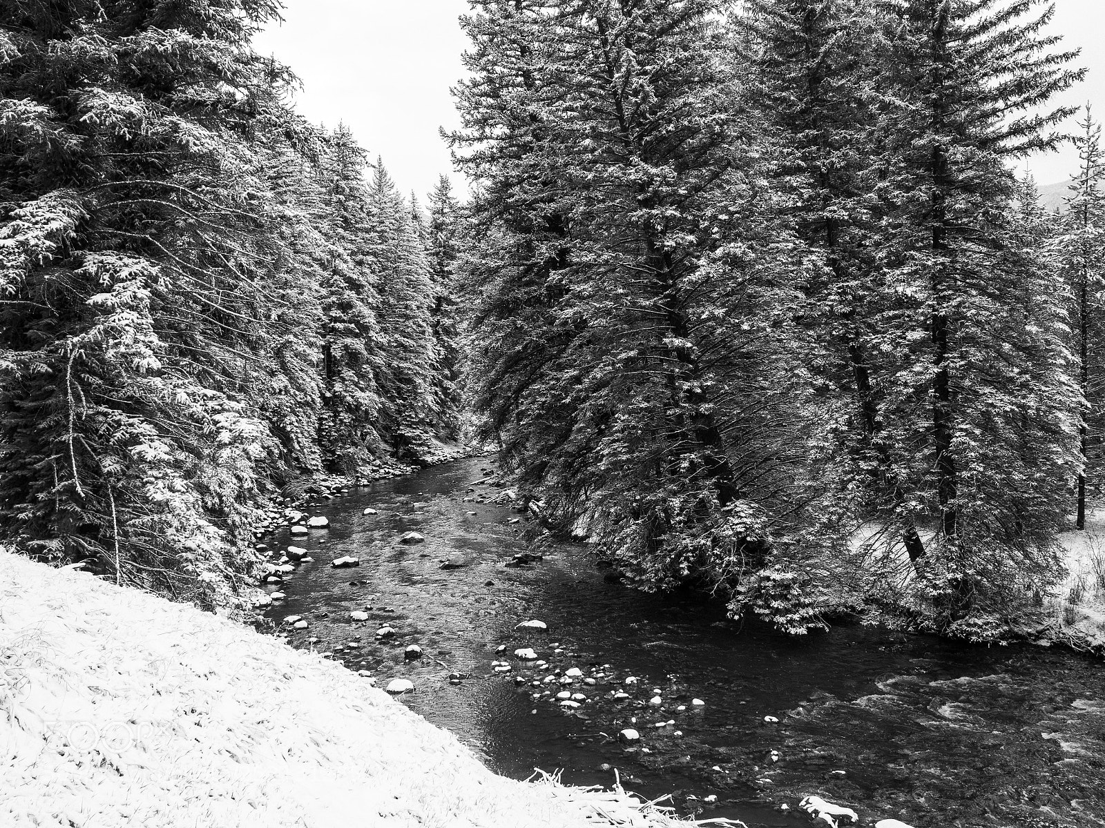 Olympus OM-D E-M10 II sample photo. Streamside vail photography