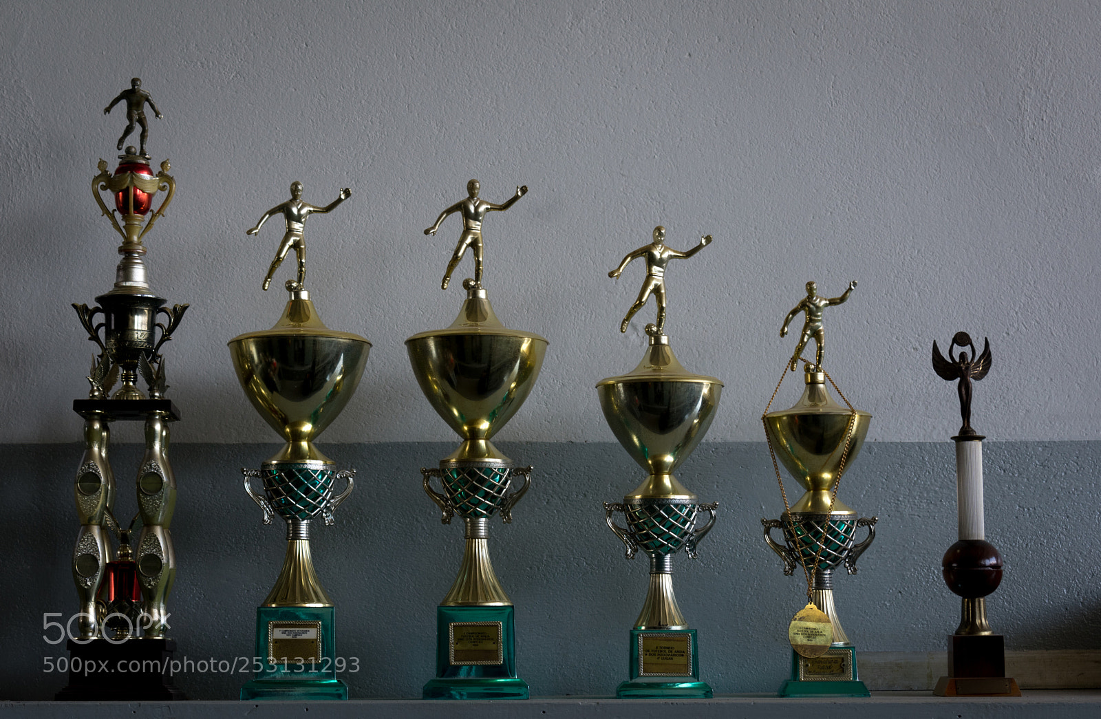 Nikon D3400 sample photo. Trophies photography