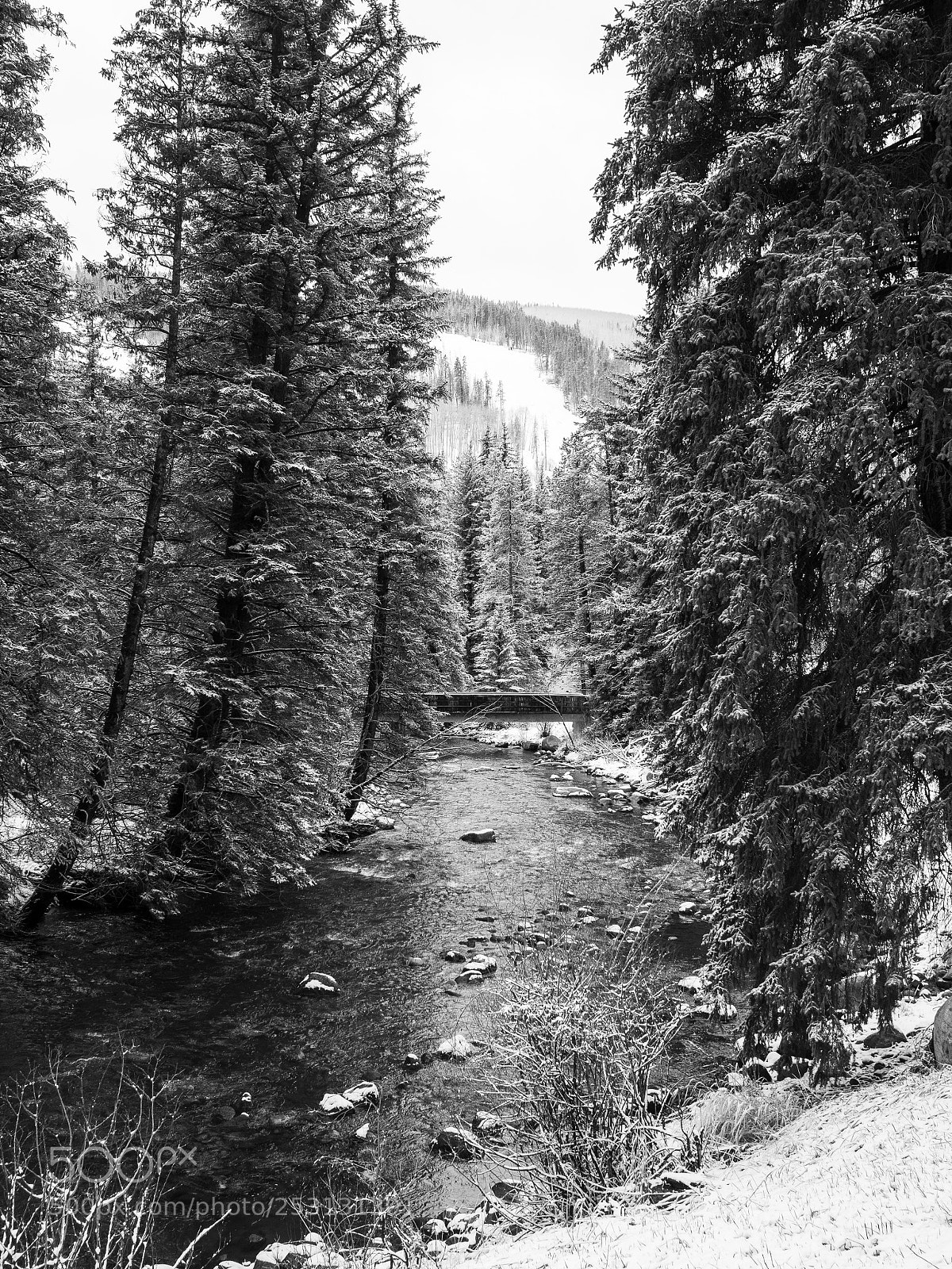 Olympus OM-D E-M10 II sample photo. Streamside vail photography