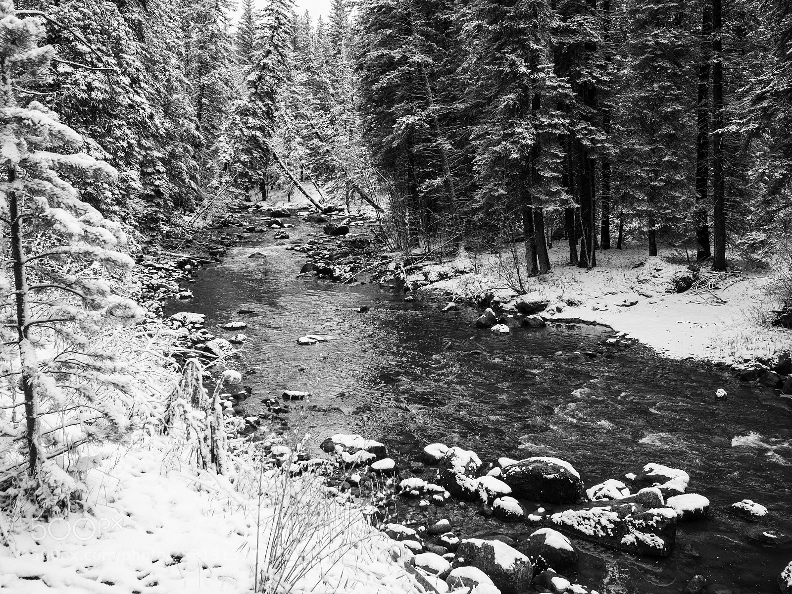 Olympus OM-D E-M10 II sample photo. Streamside vail photography